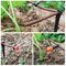 4x7 Mm Flexible Irrigation Pipe 1/4&quot; Blank Distribution Ldpe Tube Drip Garden Irrigation